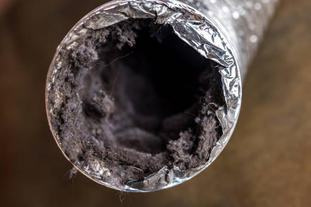 Best Commercial Air Duct Cleaning  in Suitland, MD